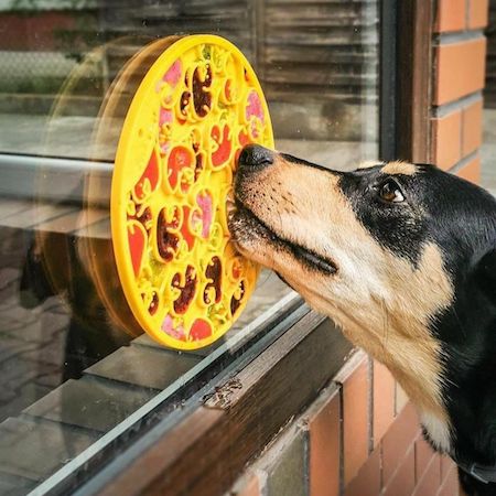 慢食舔食墊貼在玻璃上讓狗狗舔舐