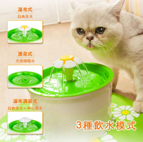 貓咪喝水-小花飲水機