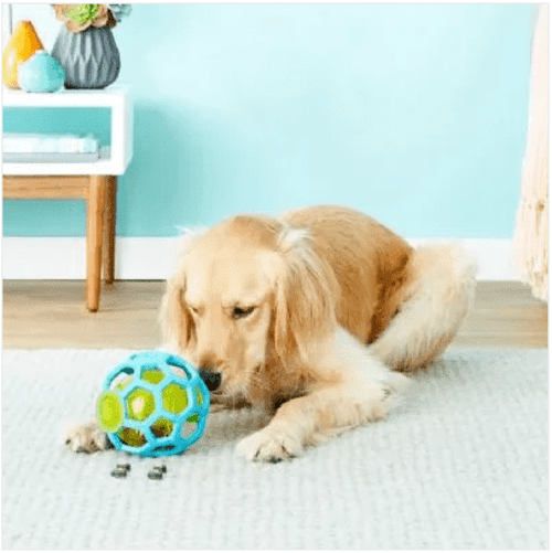 狗狗玩具 漏食球 