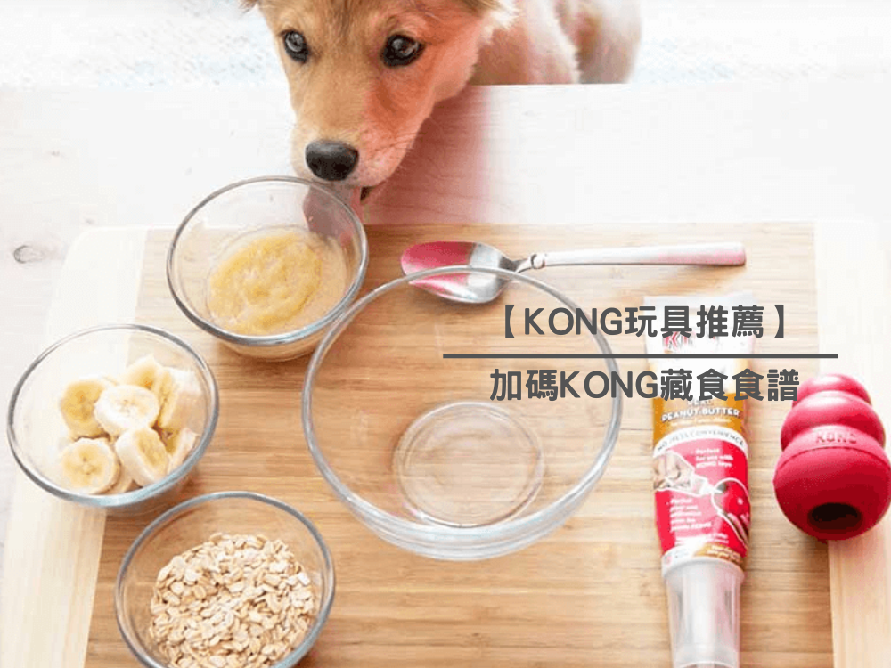 【KONG玩具推薦】加碼KONG藏食食譜