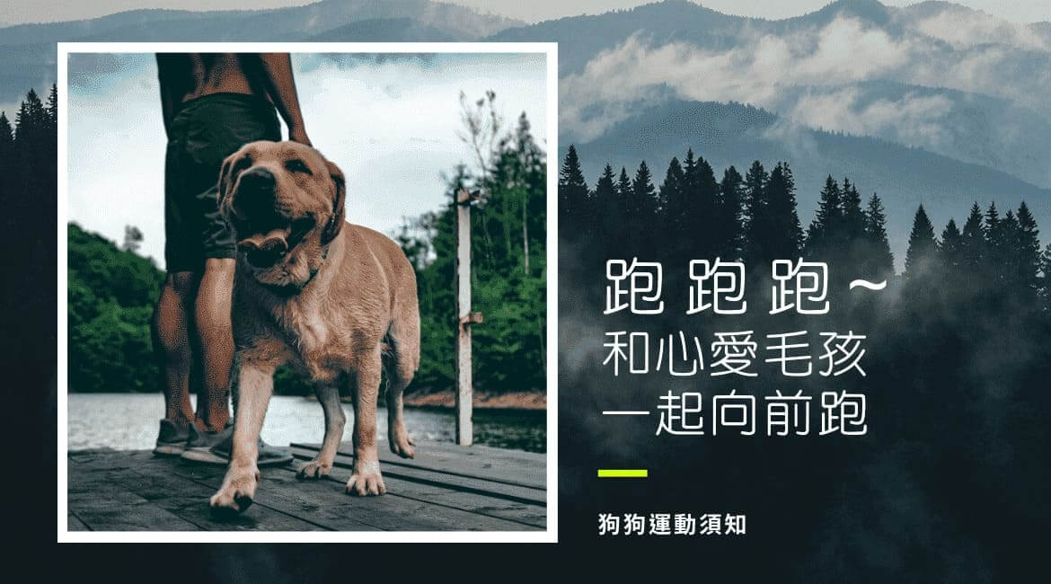 跑跑跑~ 和心愛毛孩一起向前跑