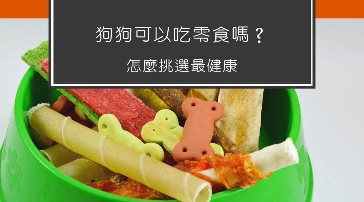 狗狗可以吃零食嗎？怎麼挑選最健康