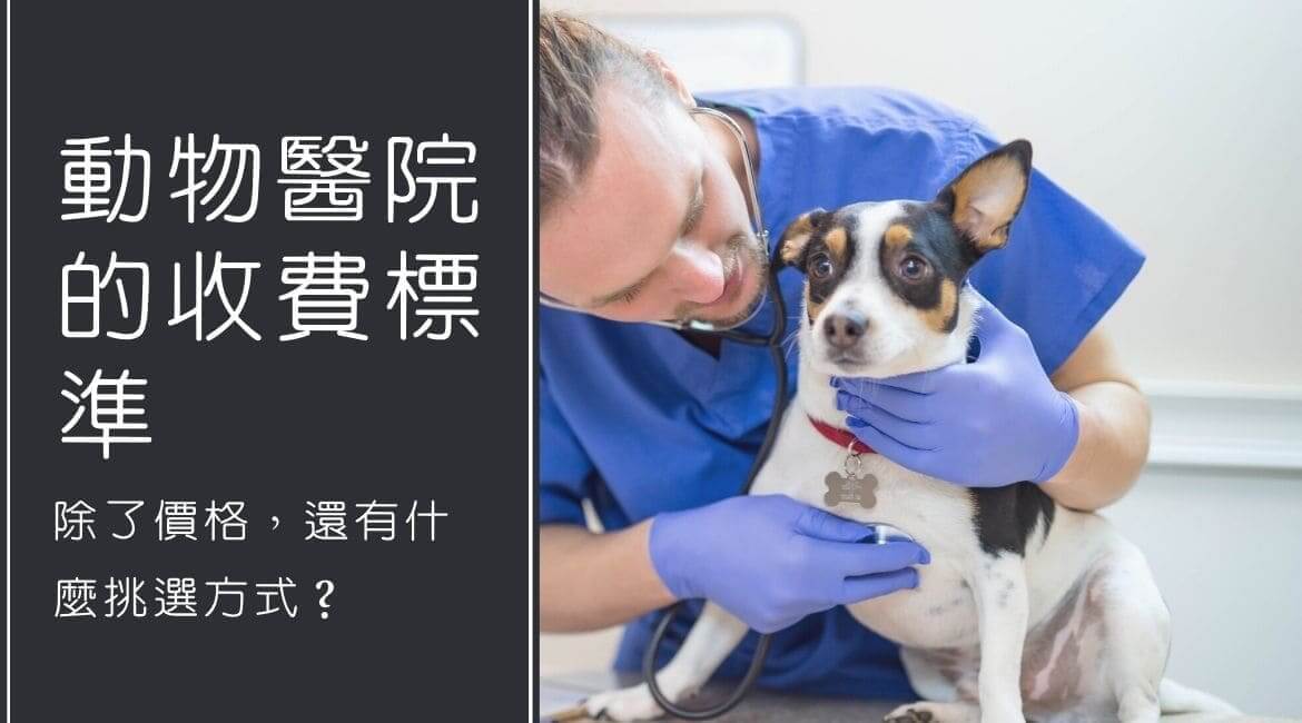 動物醫療費用透明不怕被坑！選對動物醫院關