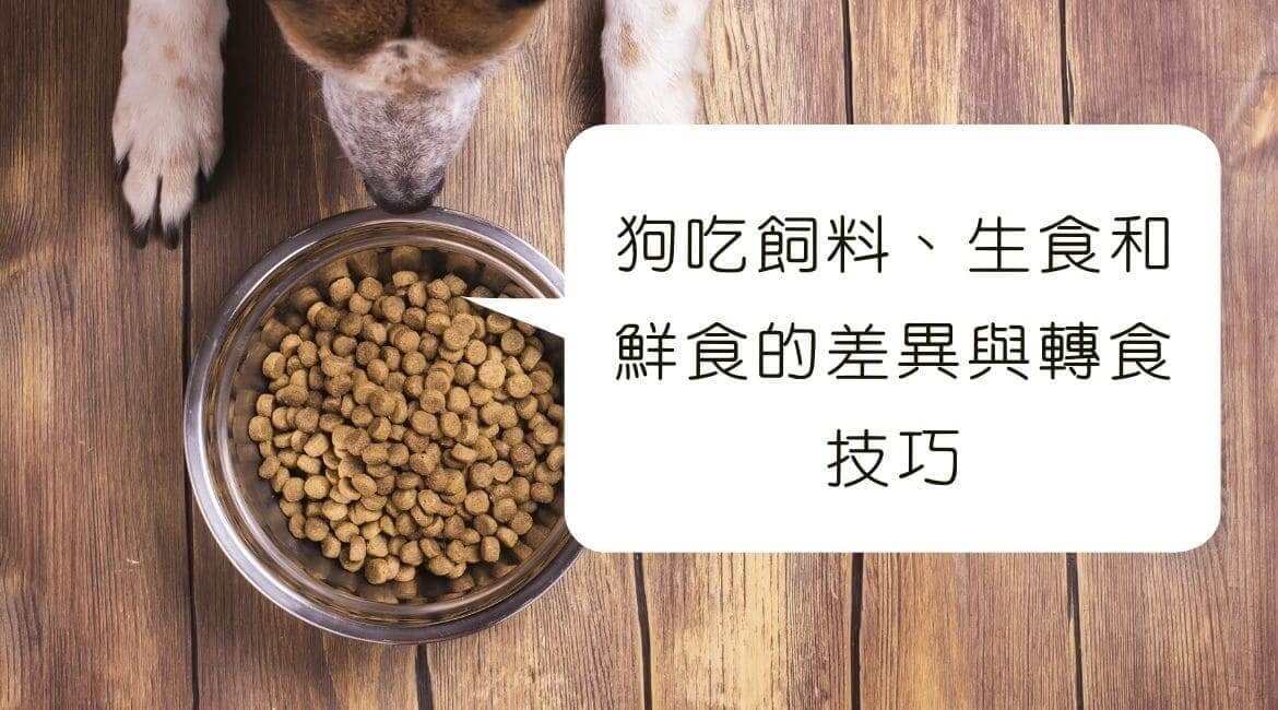 狗鮮食與飼料推薦：參考WDJ挑選最安心