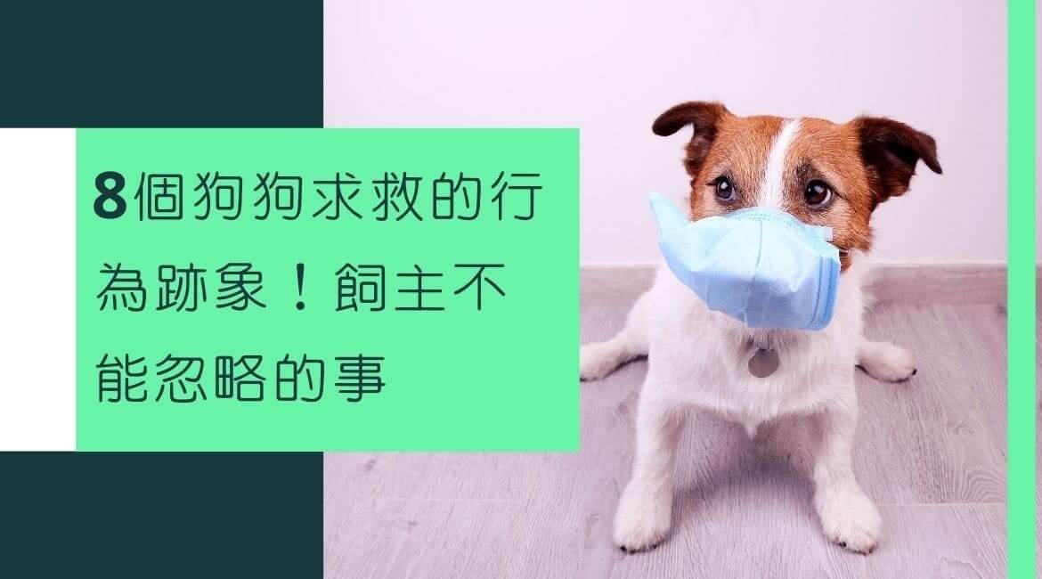 8個狗狗求救的行為跡象！飼主不能忽略的事