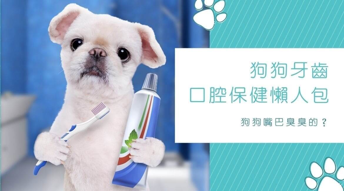 狗狗嘴巴臭臭的？狗狗牙齒、口腔保健懶人包