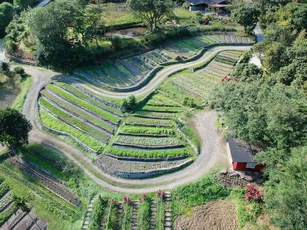 宜蘭頭城農場