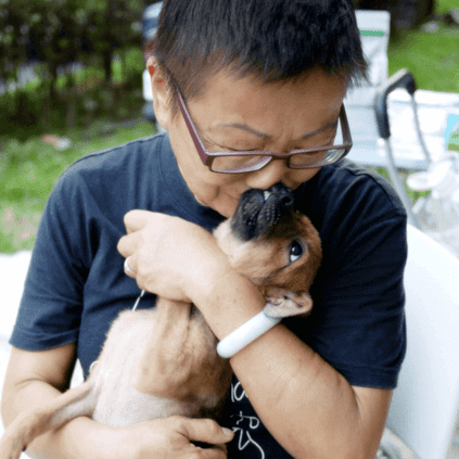 張媽媽流浪動物之家