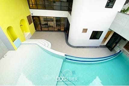 Dogether Hotel多野樂旅館