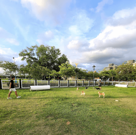 台中寵物公園