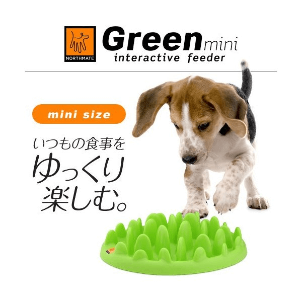 GreenMini互動餵食器