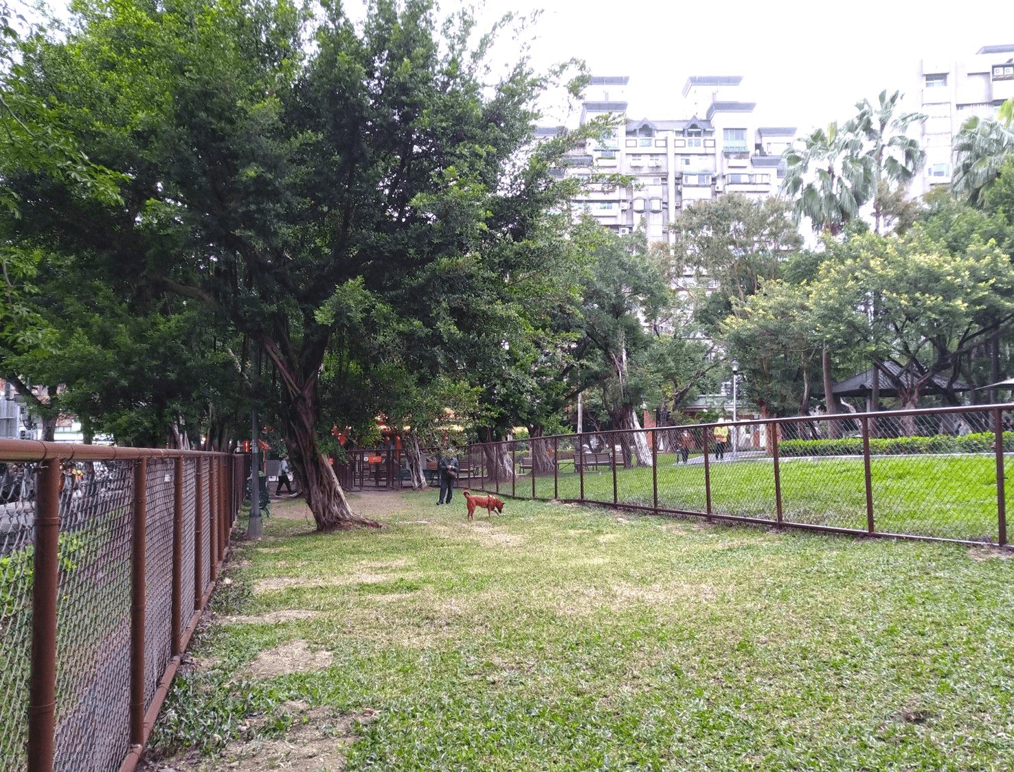 玉成公園