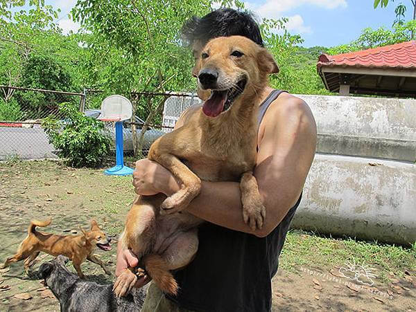 動物之家