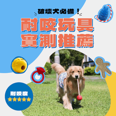 大型犬耐咬玩具