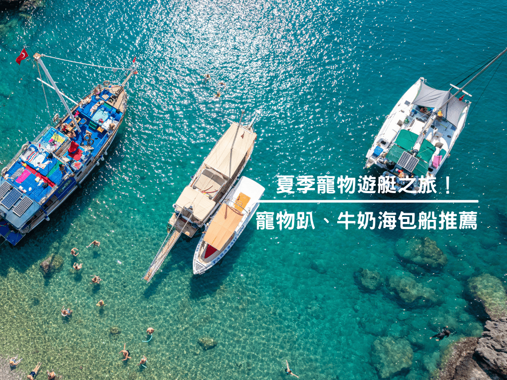 夏季寵物遊艇之旅！寵物趴、牛奶海包船推薦