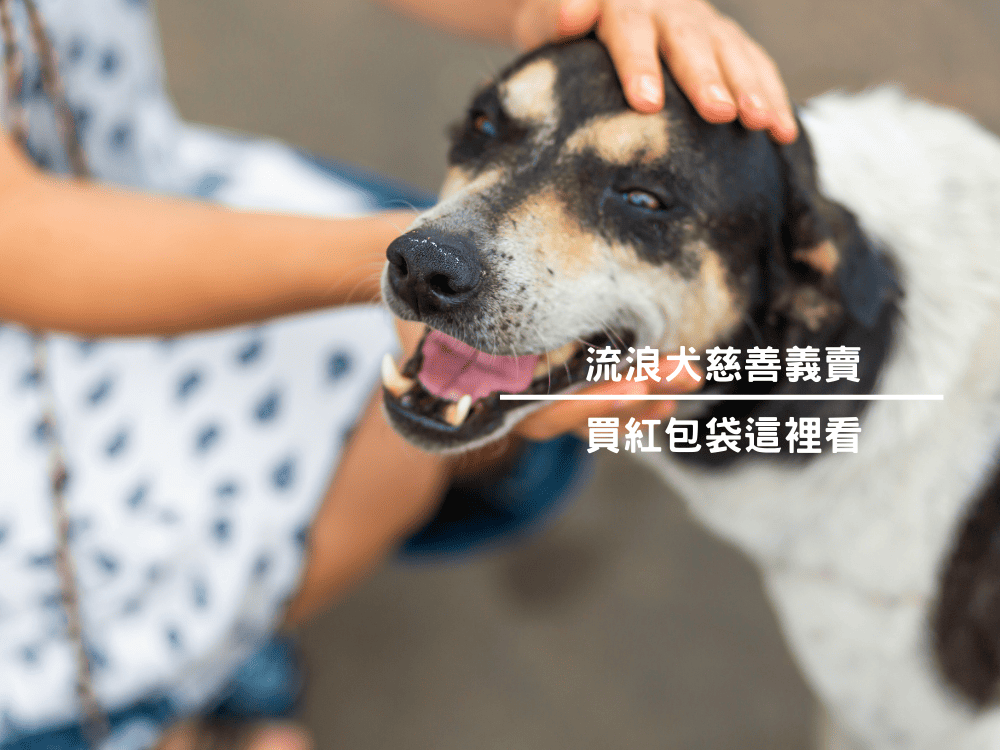 流浪犬慈善義賣：2021 買紅包袋這裡看