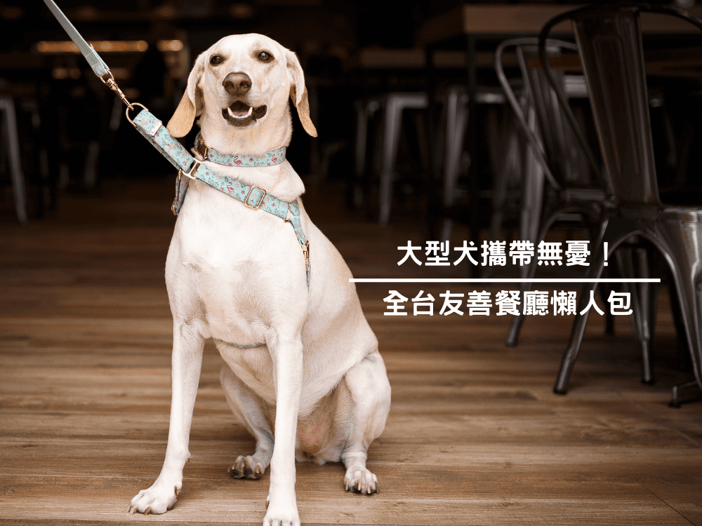 大型犬攜帶無憂！全台友善餐廳懶人包