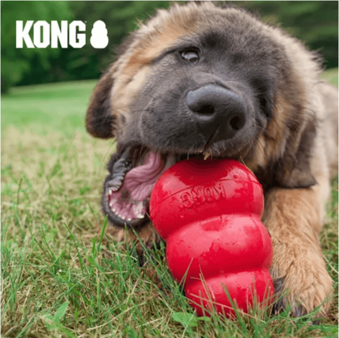 KONG