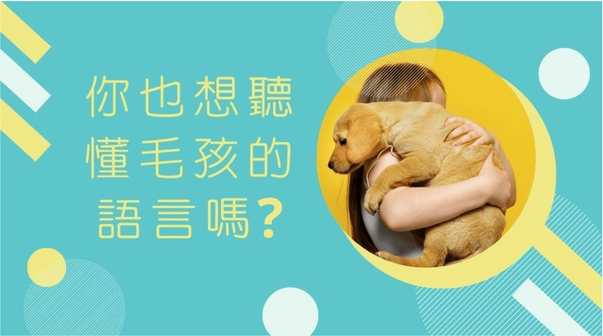 寵物溝通原理？你也想聽懂毛孩的語言嗎?